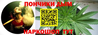 индика Будённовск