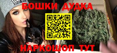 индика Будённовск