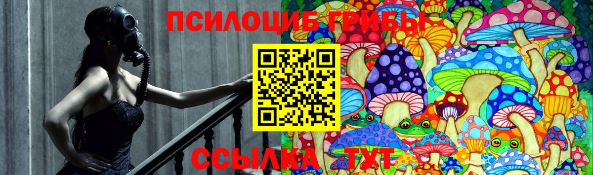 Тельмана  Галлюциногенные грибы прущие грибы  Вход с VPN  Галлюциногенные грибы MAGIC MUSHROOMS 